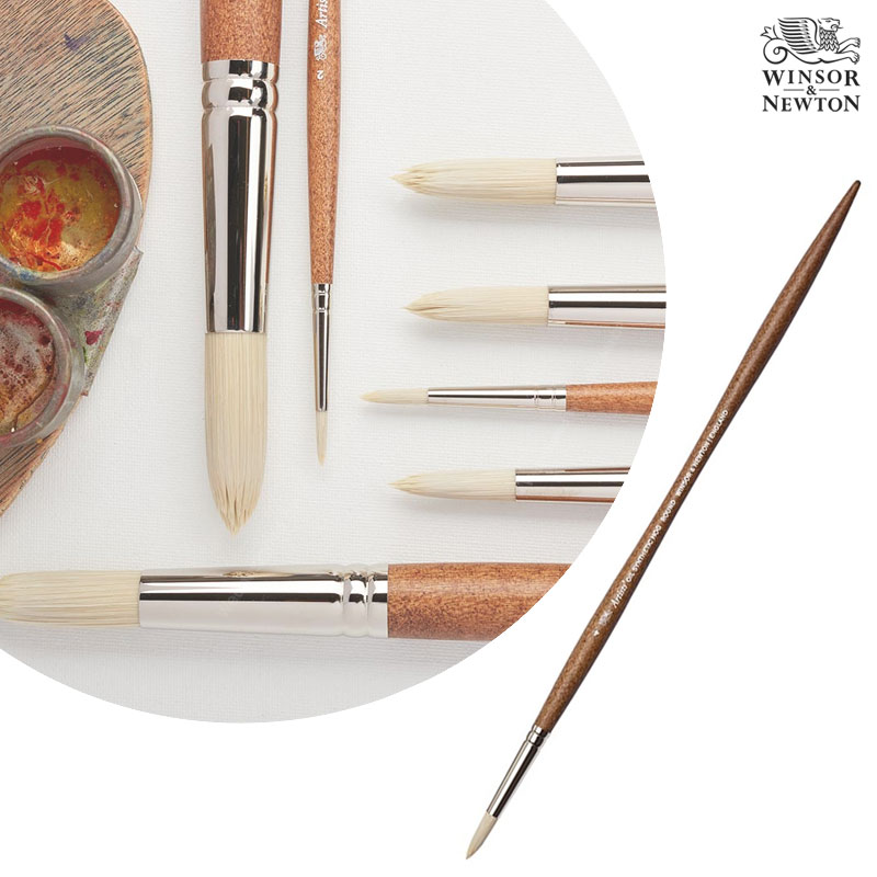 شư ȭ ƼƮ żƽ ȣ 귯  Size4