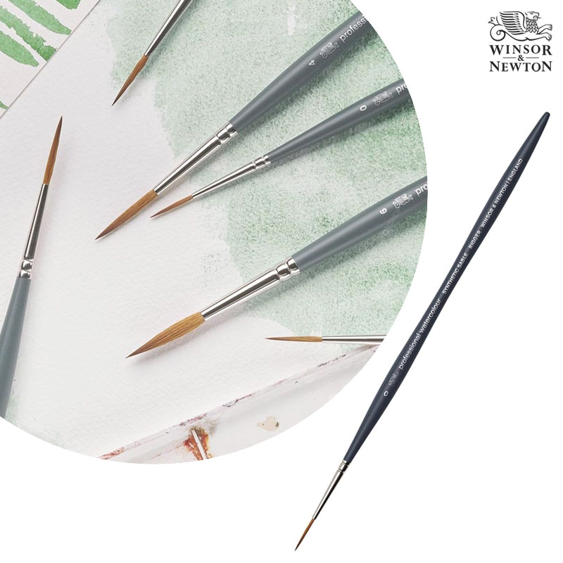 شư ä ų żƽ ̺  귯 Size0