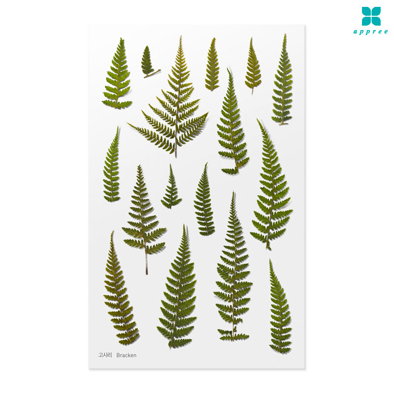 ���縮 �� ��ȭ��ƼĿ 40��/�ٲٽ�ƼĿ/���̾�ٹ̱�/�ɽ�ƼĿ/�ڿ�����ƼĿ/�ҽý�ƼĿ