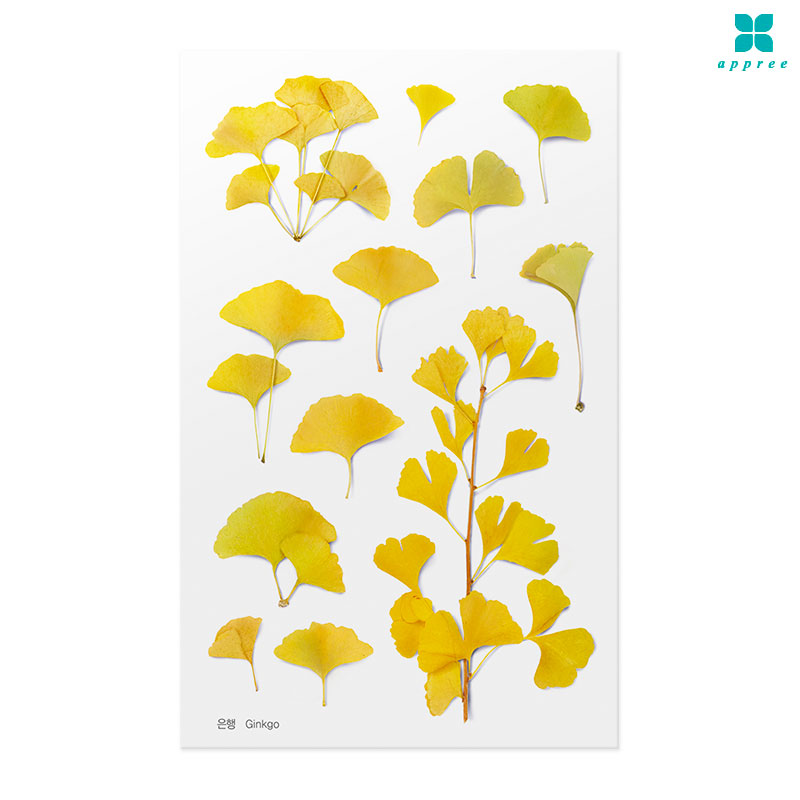 ���� �� ��ȭ��ƼĿ 40��/�ٲٽ�ƼĿ/���̾�ٹ̱�/�ɽ�ƼĿ/�ڿ�����ƼĿ/�ҽý�ƼĿ