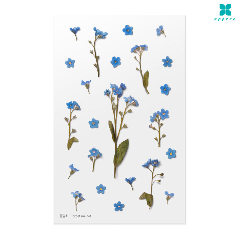 ������ �� ��ȭ��ƼĿ 40��/�ٲٽ�ƼĿ/���̾�ٹ̱�/�ɽ�ƼĿ/�ڿ�����ƼĿ/�ҽý�ƼĿ