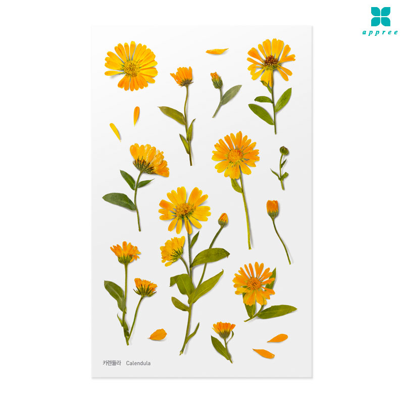 ī����� �� ��ȭ��ƼĿ 40��/�ٲٽ�ƼĿ/���̾�ٹ̱�/�ɽ�ƼĿ/�ڿ�����ƼĿ/�ҽý�ƼĿ