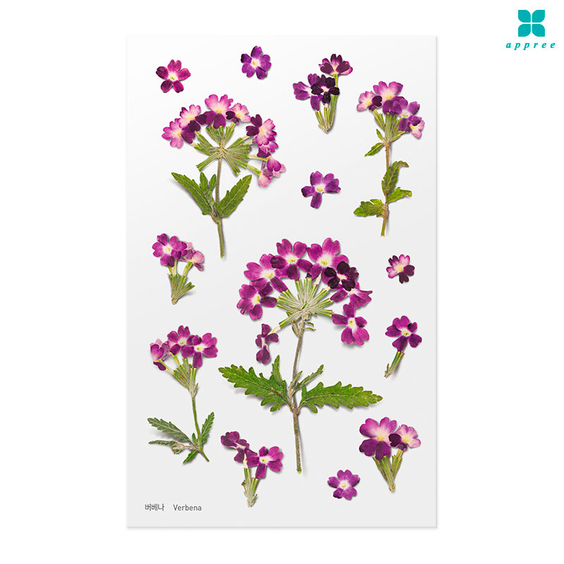 ������ �� ��ȭ��ƼĿ 40��/�ٲٽ�ƼĿ/���̾�ٹ̱�/�ɽ�ƼĿ/�ڿ�����ƼĿ/�ҽý�ƼĿ