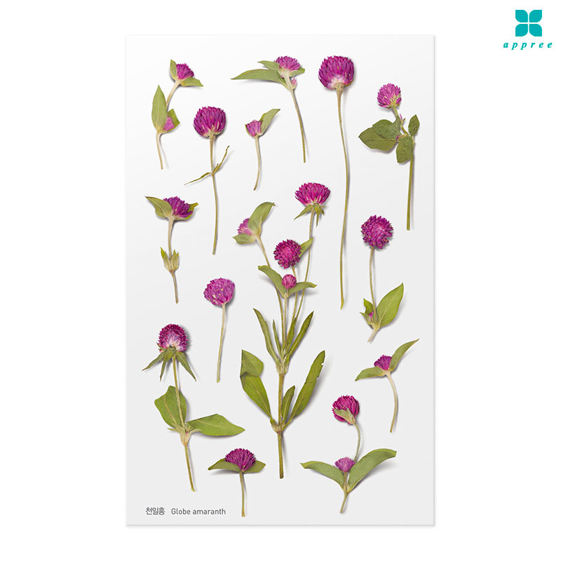 õ��ȫ �� ��ȭ��ƼĿ 40��/�ٲٽ�ƼĿ/���̾�ٹ̱�/�ɽ�ƼĿ/�ڿ�����ƼĿ/�ҽý�ƼĿ