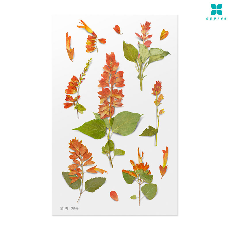 ����� �� ��ȭ��ƼĿ 40��/�ٲٽ�ƼĿ/���̾�ٹ̱�/�ɽ�ƼĿ/�ڿ�����ƼĿ/�ҽý�ƼĿ