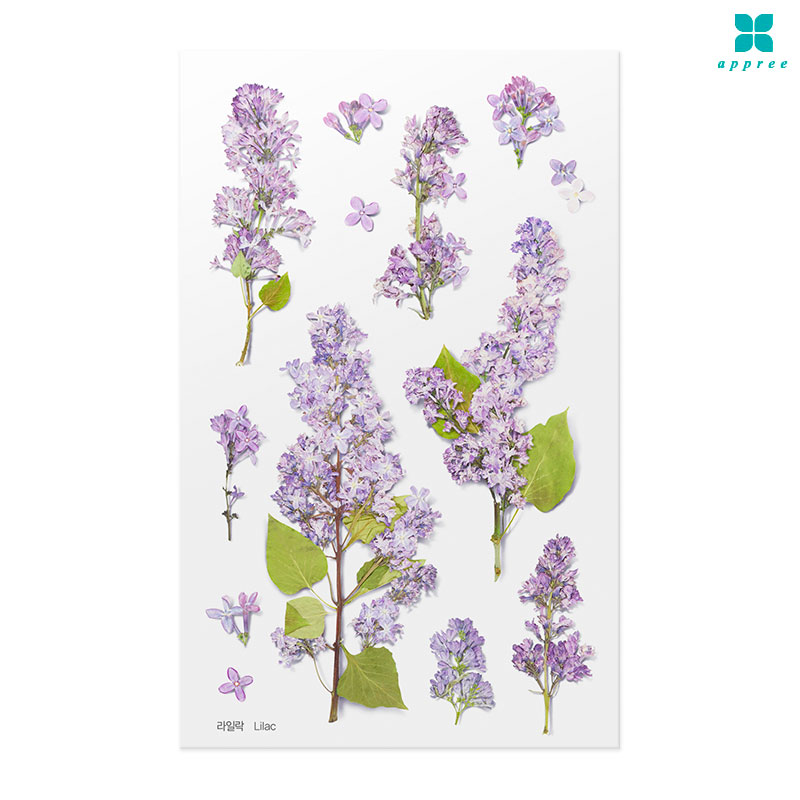 ���϶� �� ��ȭ��ƼĿ 40��/�ٲٽ�ƼĿ/���̾�ٹ̱�/�ɽ�ƼĿ/�ڿ�����ƼĿ/�ҽý�ƼĿ