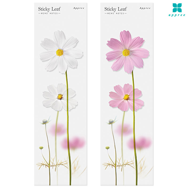 ���ĵ� ��ƼŰ���� �����޸��� �ڽ���_���ĵ��޸���/�ٲٽ�ƼĿ/���̾�ٹ̱�/����Ʈ�տ뵵