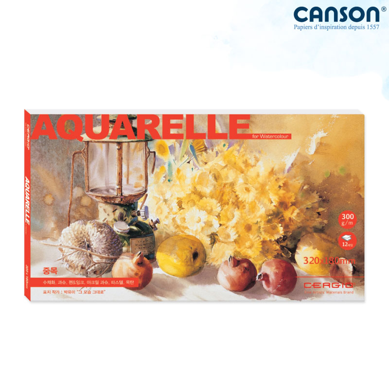 �������� �����Ʒ� ��ä�е� 300g 32x18cm 12�� 1������