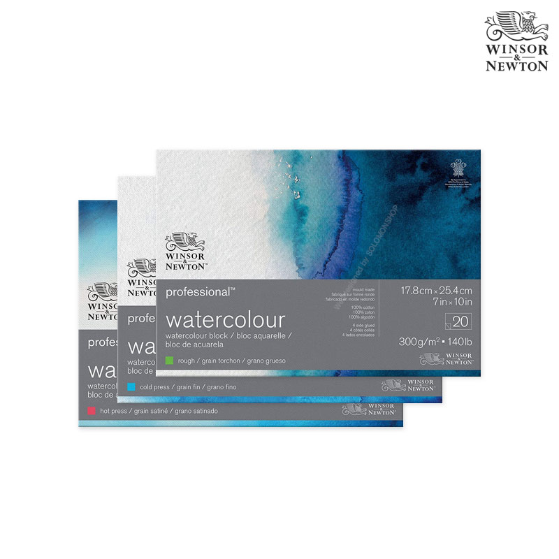 Winsor&Newton �����ش�ư ������ ��ä�е� 300g 18x25 20��