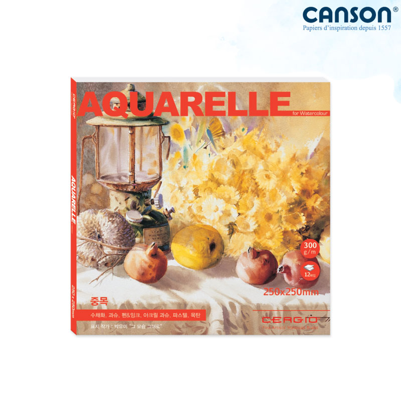 Cergio �������� �����Ʒ� ��ä�е� 300g 25x25cm 12�� 1������